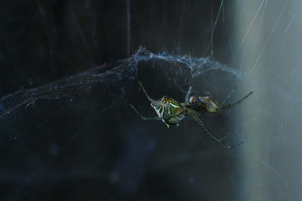 core web vitals