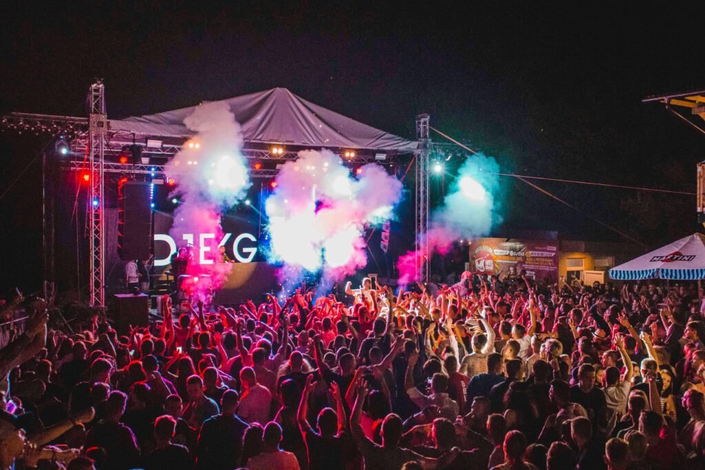 Role of DJ Party in Vancouver