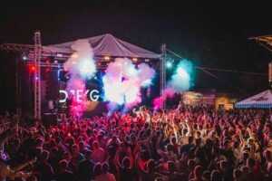 Role of DJ Party in Vancouver